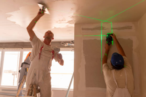 Best Ceiling Drywall Installation  in Westby, WI